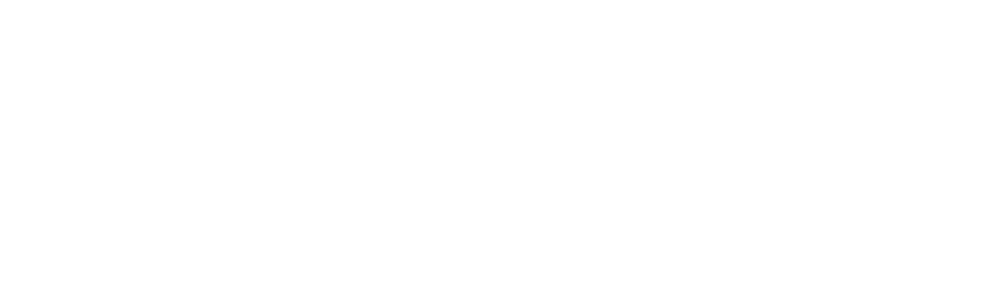 Seyfor